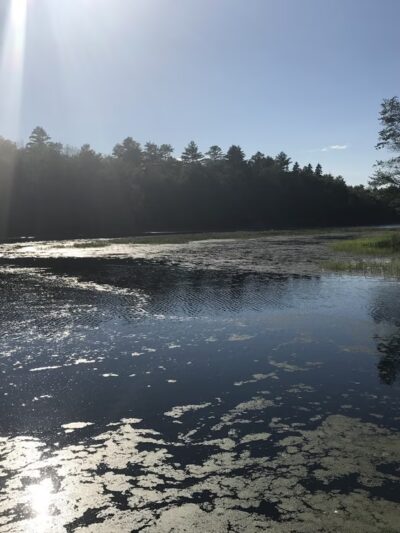 Runaround Pond Recreation Area - Durham, ME