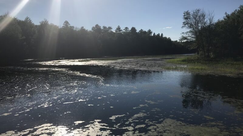 Runaround Pond Recreation Area - Durham, ME