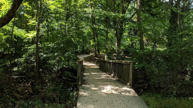 Al Buehler Trail: Public Parking - Durham, NC