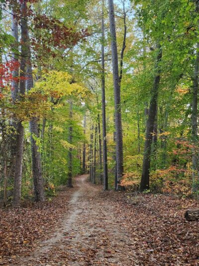 Al Buehler Trail: Public Parking - Durham, NC