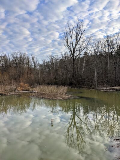 Al Buehler Trail: Public Parking - Durham, NC