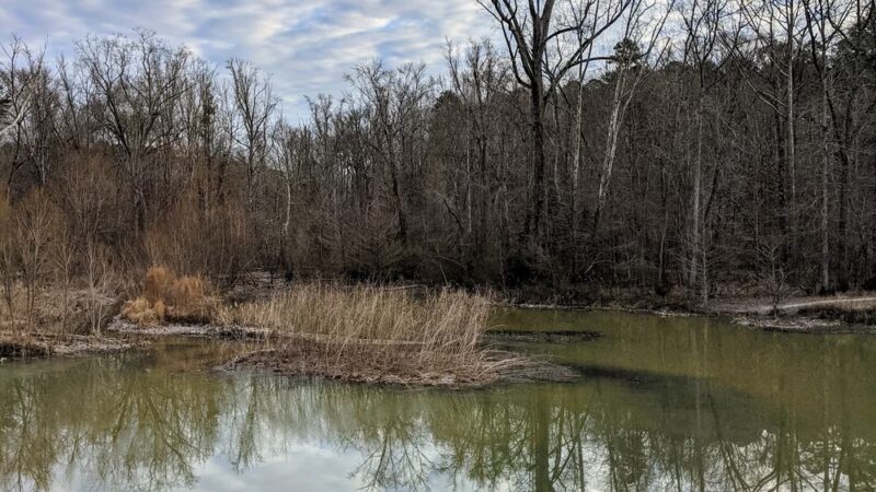 Al Buehler Trail: Public Parking - Durham, NC