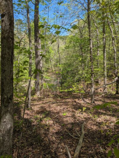 Duke Forest Gate 26 - Durham, NC