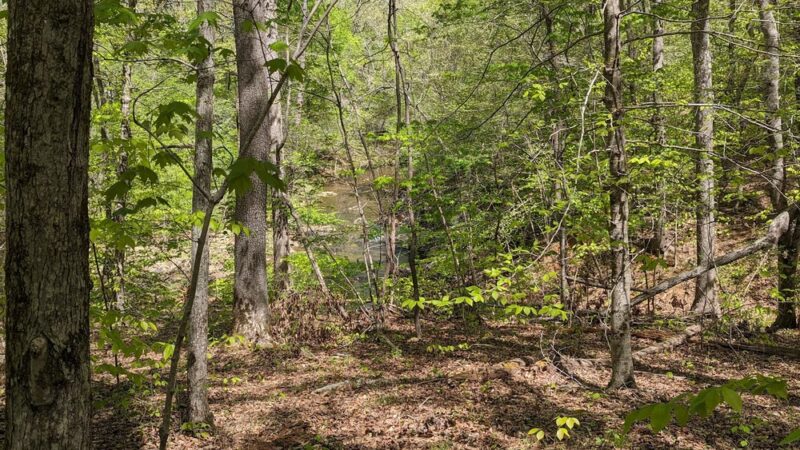 Duke Forest Gate 26 - Durham, NC