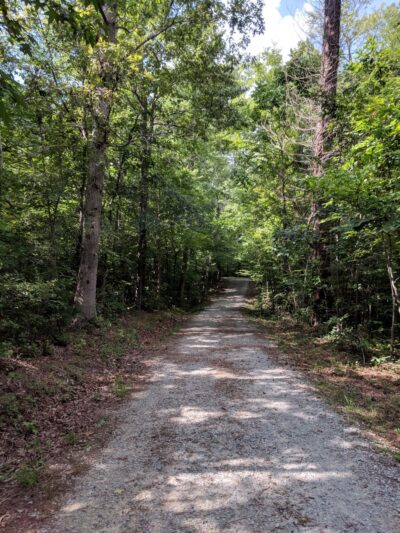 Duke Forest Gate 26 - Durham, NC