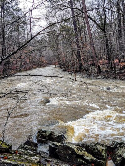 Duke Forest Gate 26 - Durham, NC