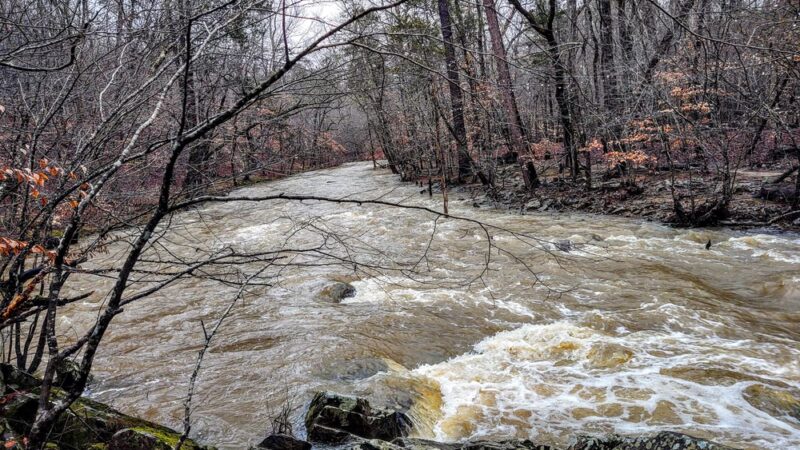 Duke Forest Gate 26 - Durham, NC