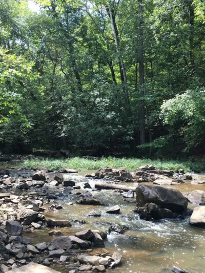 Duke Forest Gate 26 - Durham, NC