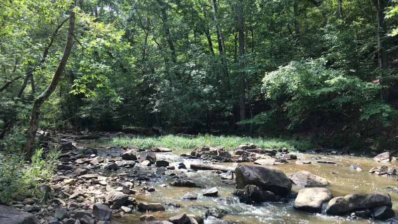 Duke Forest Gate 26 - Durham, NC