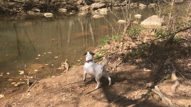 Duke Forest Gate 26 - Durham, NC