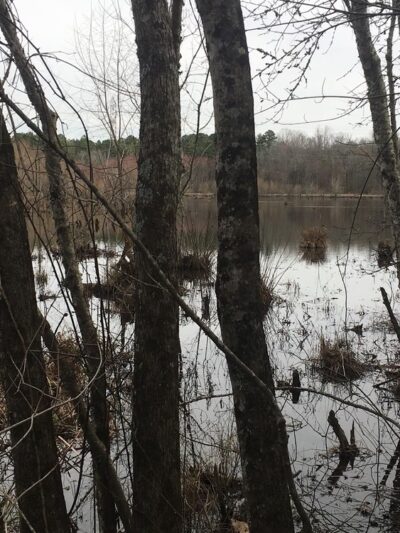 Mountains To Sea Trail Segment 10 Parking - Durham, NC