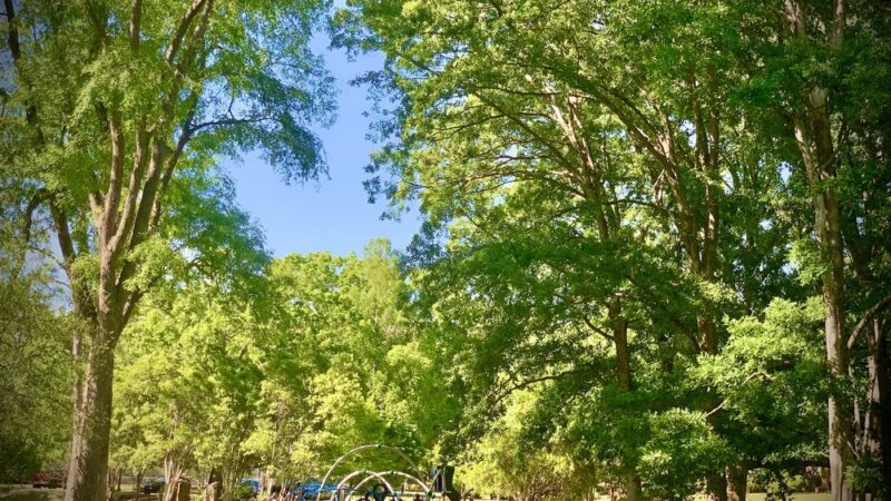 Northgate Park - Durham, NC