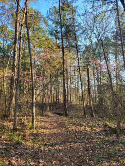 Parking for Mountains-to-Sea Trail - Durham, NC