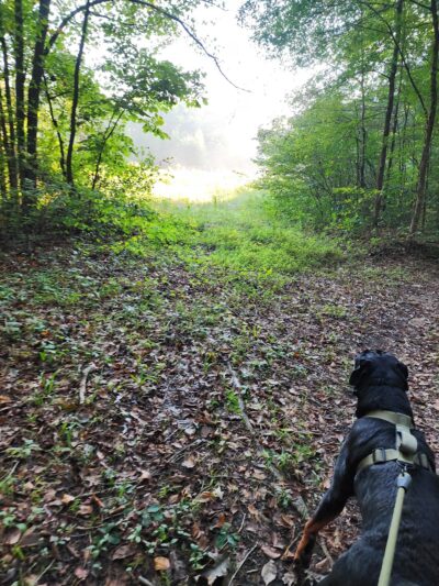 Parking for Mountains-to-Sea Trail - Durham, NC
