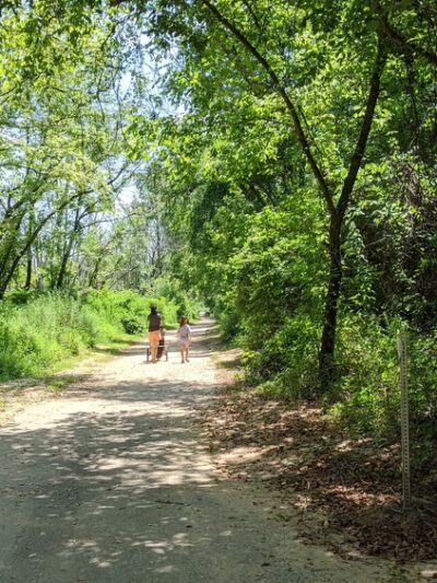 Sandy Creek Park - Durham, NC