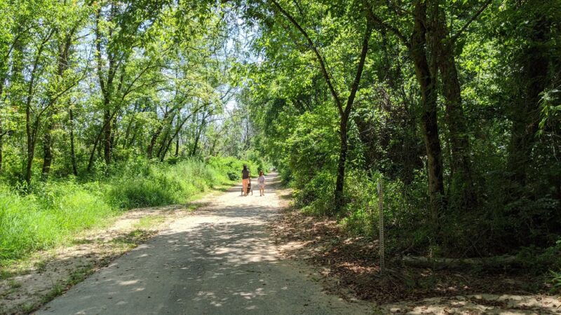 Sandy Creek Park - Durham, NC