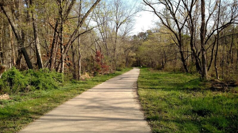 Sandy Creek Park - Durham, NC