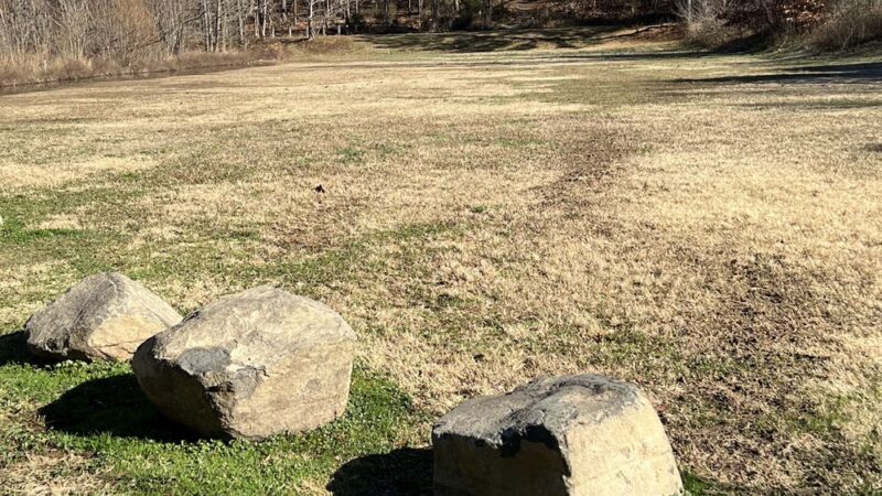 Sandy Creek Park - Durham, NC