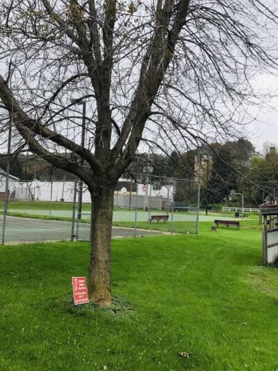Dushore Park - Dushore, PA