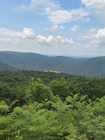 Loyalsock State Forest - Dushore, PA