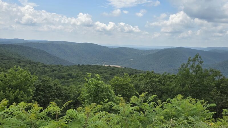 Loyalsock State Forest - Dushore, PA