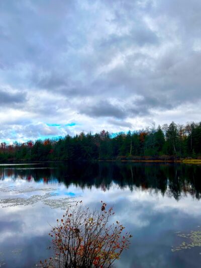 Loyalsock State Forest - Dushore, PA