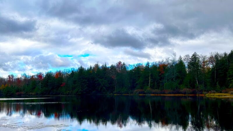Loyalsock State Forest - Dushore, PA