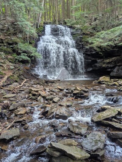 Loyalsock State Forest - Dushore, PA