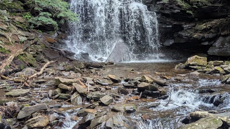 Loyalsock State Forest - Dushore, PA