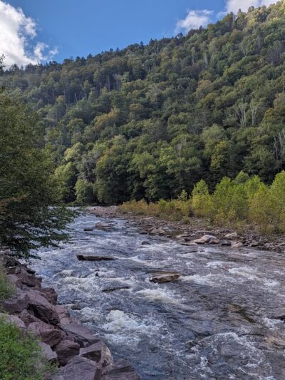 Loyalsock State Forest - Dushore, PA