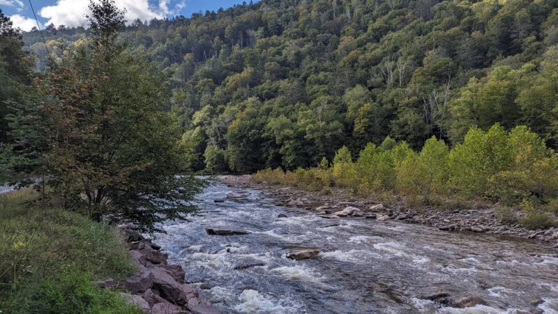 Loyalsock State Forest - Dushore, PA
