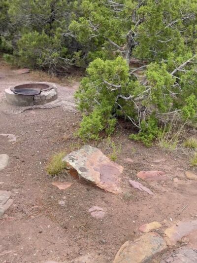 Firefighters Memorial Campground - Dutch John, UT