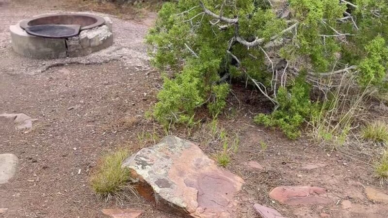 Firefighters Memorial Campground - Dutch John, UT