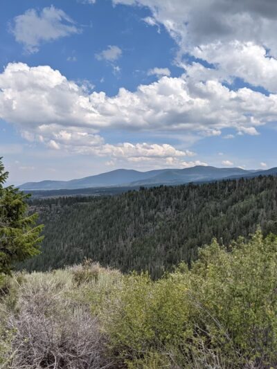 Canyon Rim Campground - Dutch John, UT