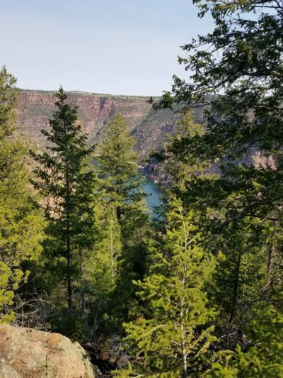 Canyon Rim Campground - Dutch John, UT