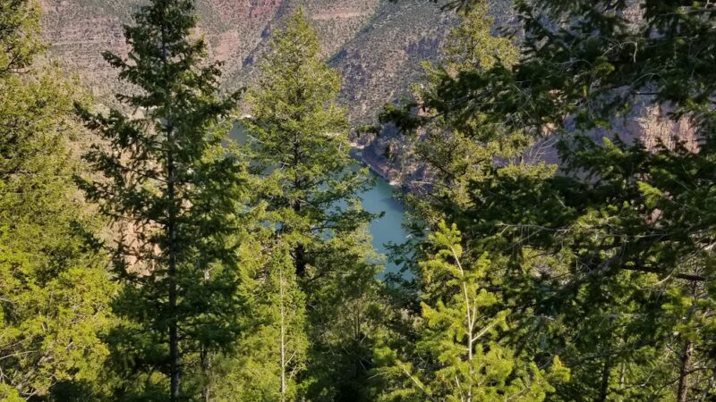Canyon Rim Campground - Dutch John, UT