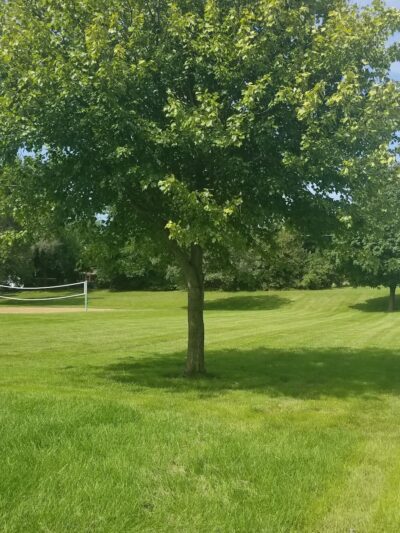Candy Cane Park - Dyersville, IA