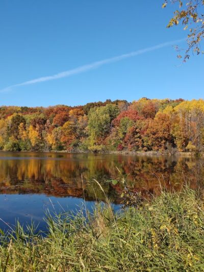 Berry Patch Park - Eagan, MN
