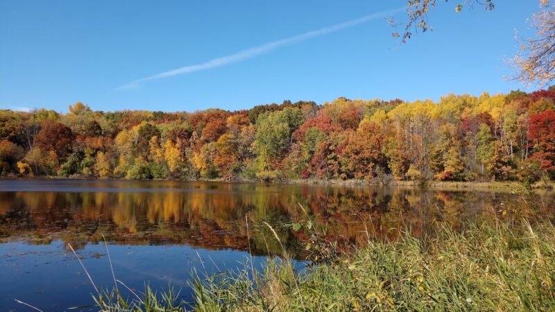 Berry Patch Park - Eagan, MN