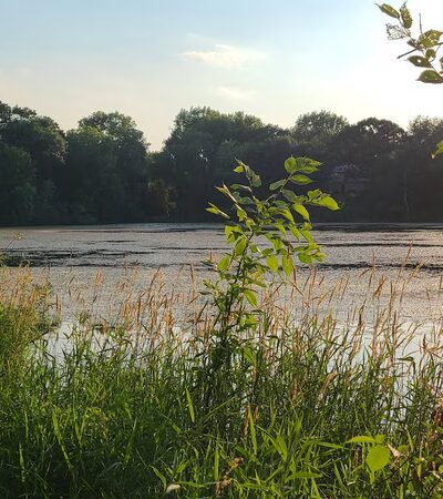 Berry Patch Park - Eagan, MN
