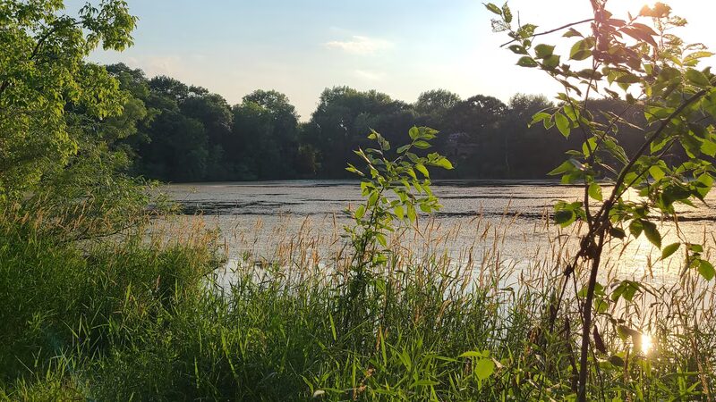 Berry Patch Park - Eagan, MN