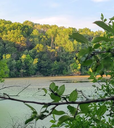 Berry Patch Park - Eagan, MN