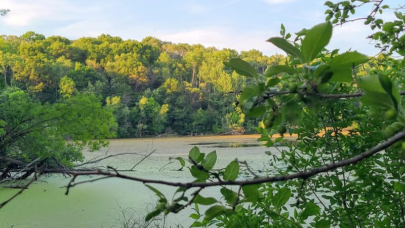 Berry Patch Park - Eagan, MN