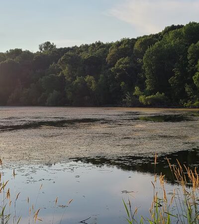 Berry Patch Park - Eagan, MN