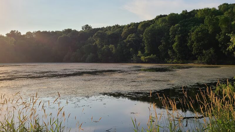 Berry Patch Park - Eagan, MN