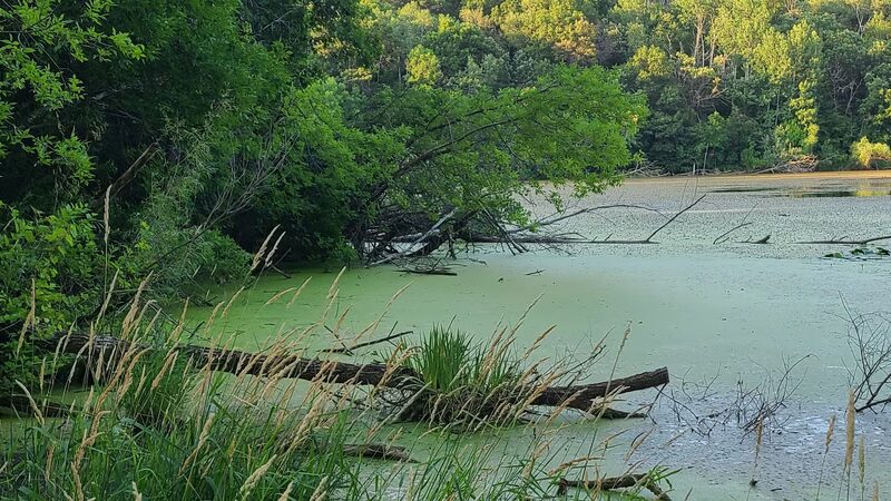 Berry Patch Park - Eagan, MN