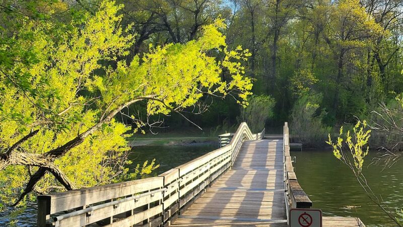 Blackhawk Park - Eagan, MN