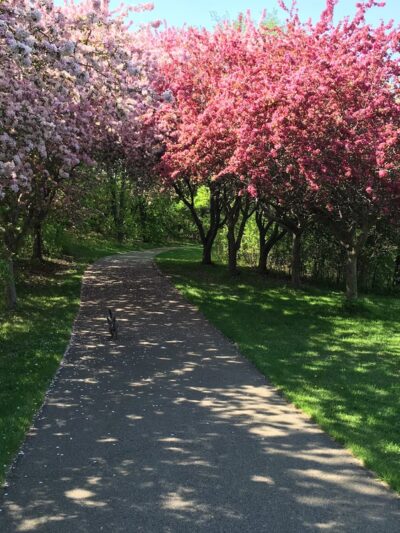 Kettle Park - Eagan, MN