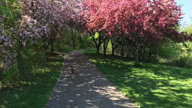 Kettle Park - Eagan, MN