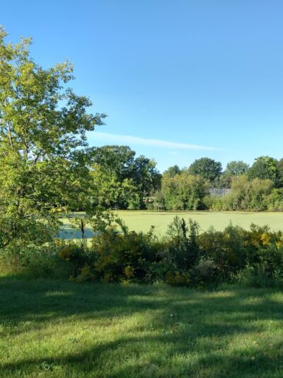 Kettle Park - Eagan, MN